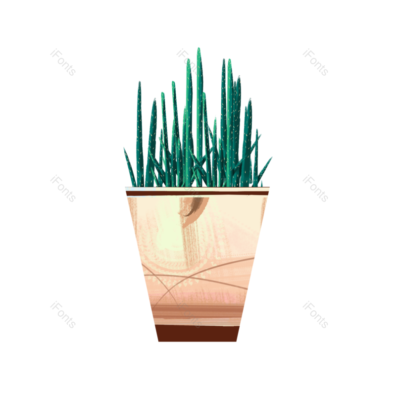 植物素材图片,花盆元素,盆栽植物PNG,绿色盆栽免抠素材